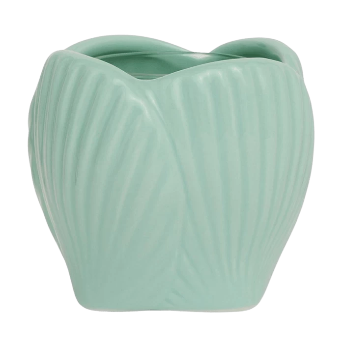 Mint Shell Votive Holder