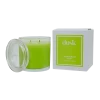 Lemongrass Zest 2 Wick Scented Candle