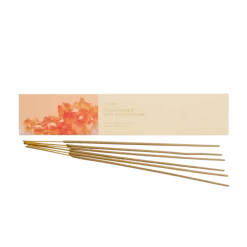 Apple Crisp & Matcha Citrine Motivation 30pk Incense Healing Stones