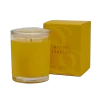 Pineapple & Pomegranate Rio De Janeiro 1 Wick Scented Candle