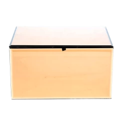 Rose Gold Fragrant Oil Box (Holds 12)